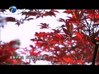 20150605 拾遗保护  扬州：大漆美 第三集 漆砂砚