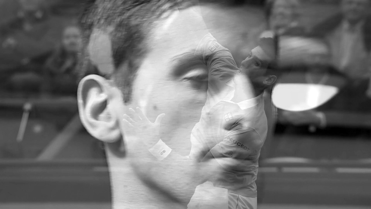 DJOKOVIC Highlights
