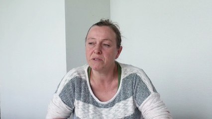 L'avis du Sgen-CFDT sur les langues anciennes dans la réforme du collège