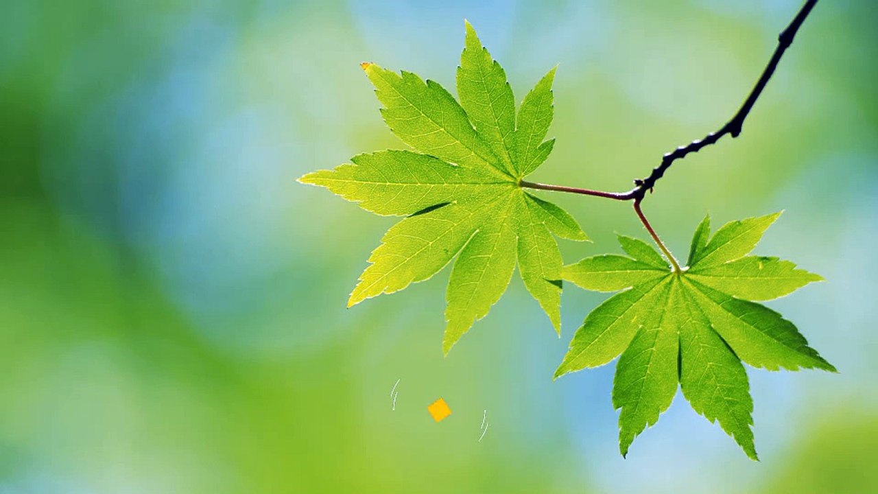 After Effects Project Files - Three Different Lower Thirds - VideoHive 8511526