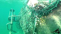 snorkeling in Mahahual Mexico from the beach