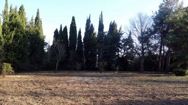 A vendre - Terrain - St Etienne Du Gres (13103) - 1 000m²