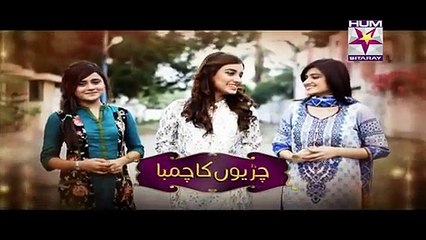 Chirryon Ka Chamba Drama - Episode 30. 5th June 2015