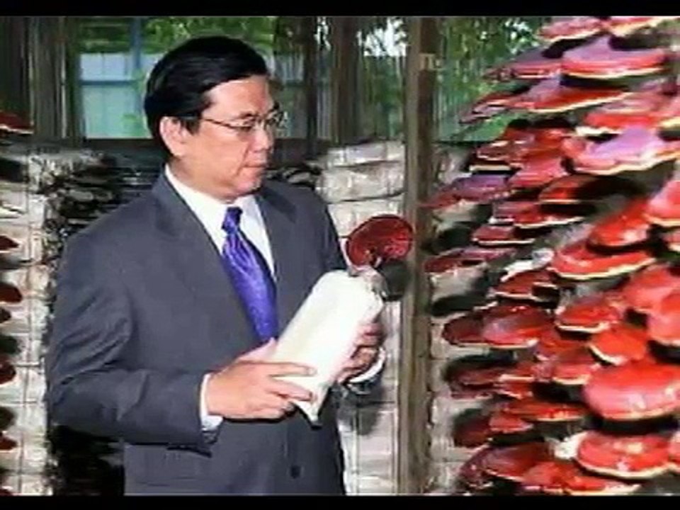 DXN Historia del Ganoderma - Café Saludable con Ganoderma -