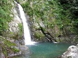 Tropical Rainforest Sounds for Relaxation (Chorro de Doña Juana)