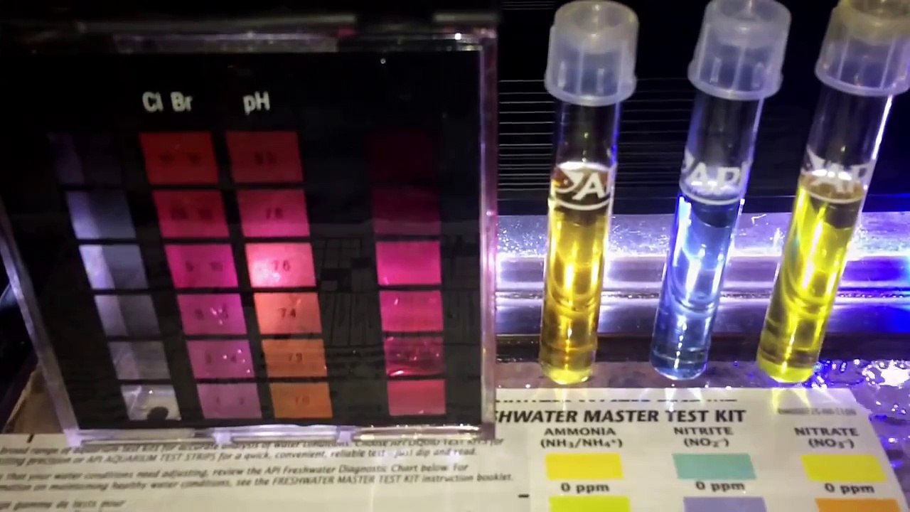 How i keep my Aquarium Water Crystal Clear.Lake Malawi African Cichlid Show Aquarium.