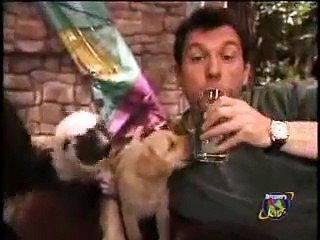 Zoboomafoo Cap. "Cachorros" (2/3)