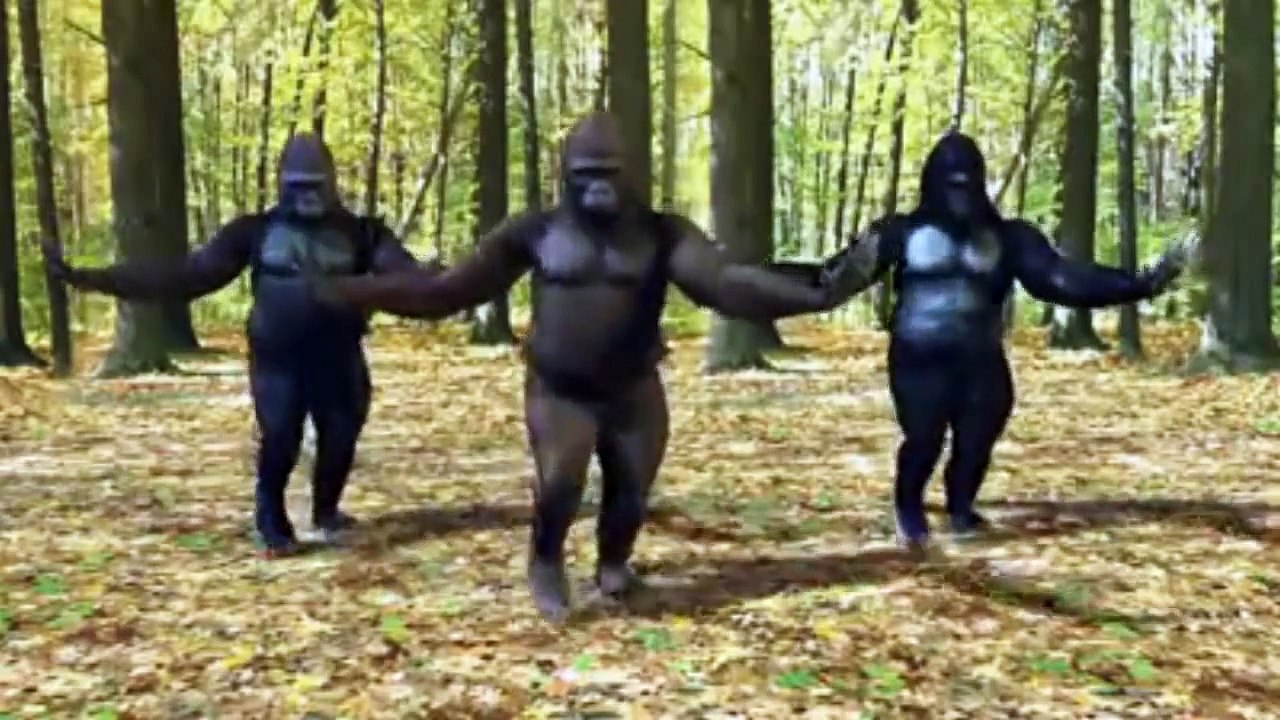 Macacos dançando passinho do romano