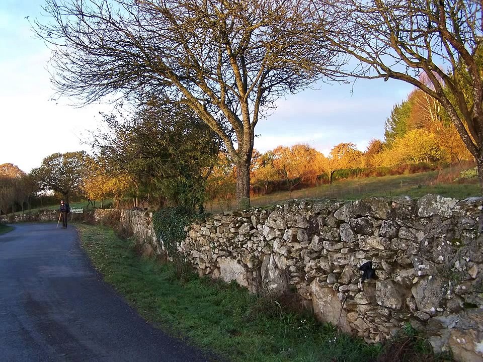 Camino De Santiago - "The Pilgrim Song" - by Cecilia Samartin, bestselling novelist
