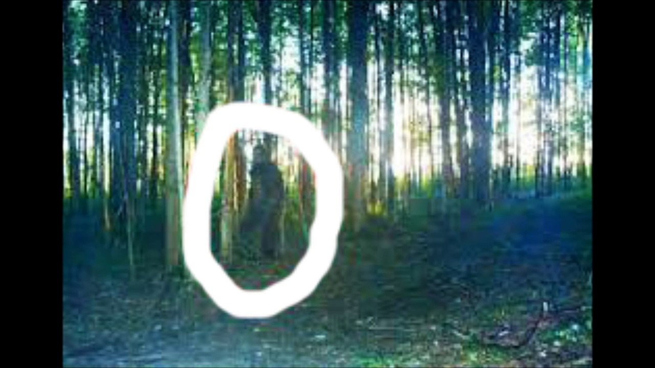 BIGFOOT/SASQUATCH CAUGHT ON CAMERA 2015?! REAL EVIDENCE