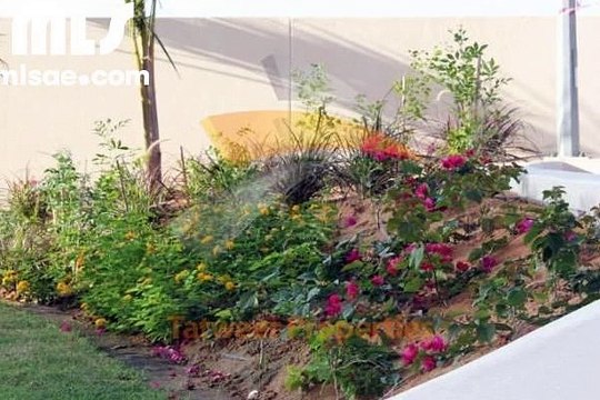 2 Car Parkings Three Cheques Payment Brand New 2 Bedroom Apartment Now Available For Rent In Al Reem Island - mlsae.com