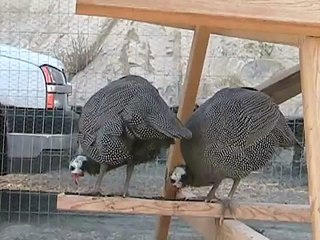 Short Clips... Too young to be a mother.