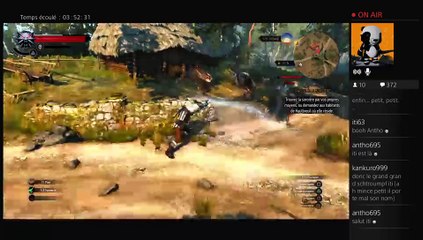 2015-05-31 Live The Witcher III part 9