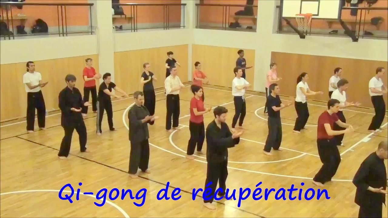 LE RETOUR DU TIGRE VOLANT - QIGONG MARTIAL. Tél: 01 45 77 30 78