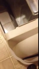 Smartsift litter box from Catit first personal review