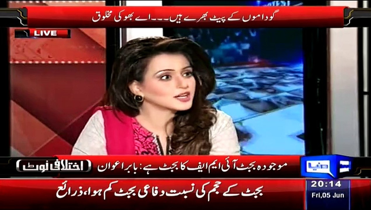 Babar Awan Telling The Nation That What Ishaaq Done With The Health Budget And PM Loan Scheme