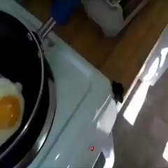 Egg dubsmash! D?syndication=228326