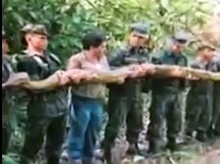 anaconda attacks caught on tape Anaconda Attacks TV Host