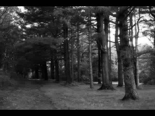 The Cranberries- Linger lyrics