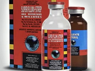 Caso Edema maligno y "Pierna negra" Coyote febrero marzo 2011.m4v