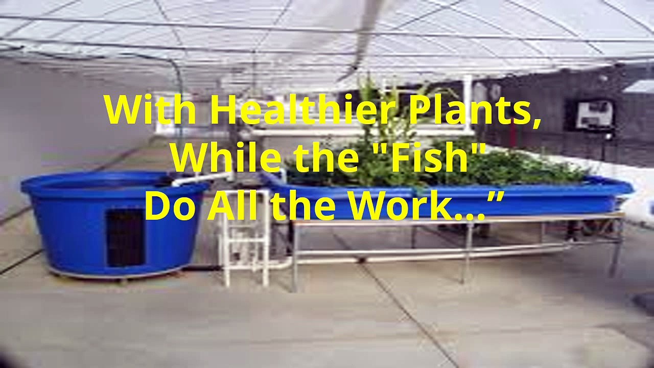 Proven aquaponics systems design