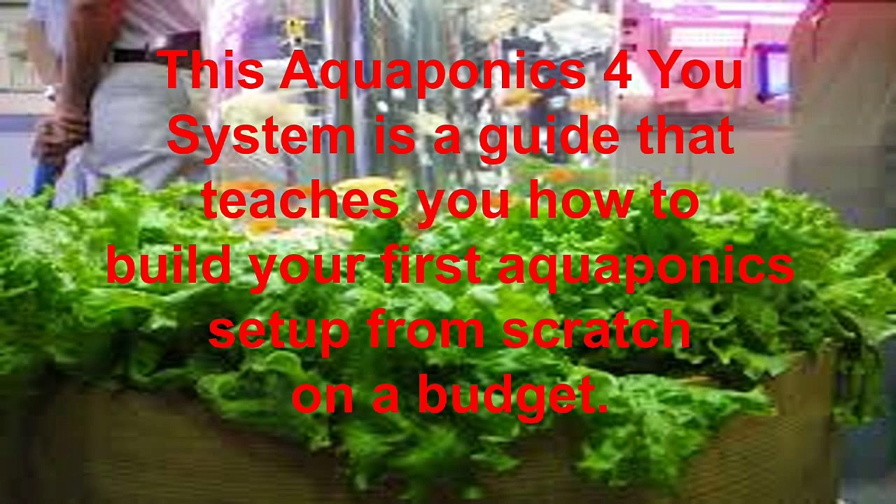 Aquaponics Systems Design Review