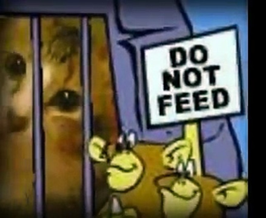 beebi