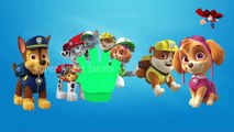 Paw Patrol | 3D Cartoon Finger Family Nursery Rhymes For Kids | Cartoon Rhymes