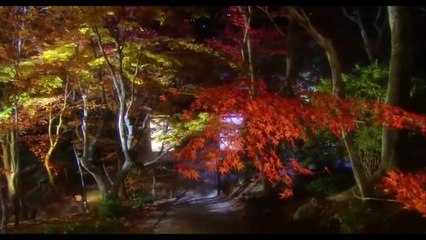 ♥♫Richard Abel - I Think Of You♥♫ "Je pense à toi"