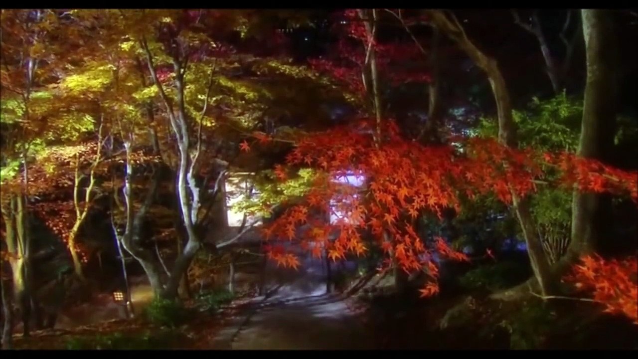 ♥♫Richard Abel - I Think Of You♥♫ "Je pense à toi"