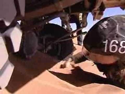 rallye aicha des gazelles 2007 étape 6