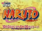 Naruto vs. The Ninja Rap