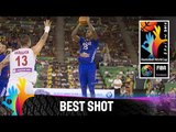 Serbia v France - Best Shot - 2014 FIBA Basketball World Cup