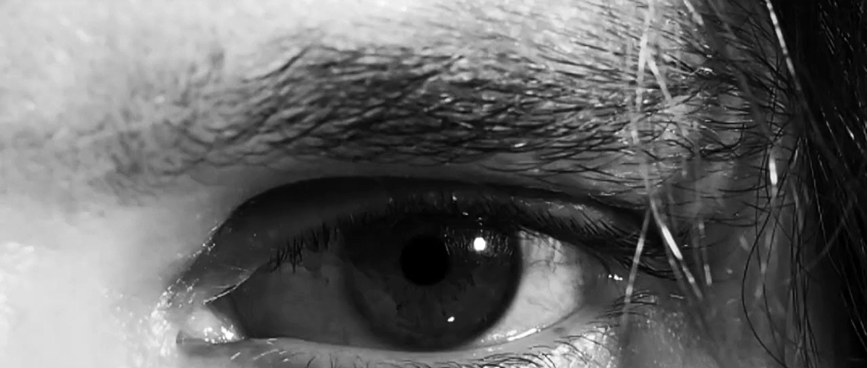 I Raise The Siren - Last Ballad