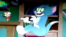 Tom and Jerry cartoon   Tom và Jerry   Cat and Mouse funny video full HD