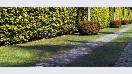 Vuelvo a Caer - Jaycob Duque (Video Oficial)