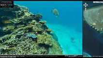 Google Street View - Imagens da Grande Barreira de Corais na Austrália