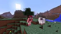 Mod Spotlight : CLOSET MOD ( Change skins and capes in game !)