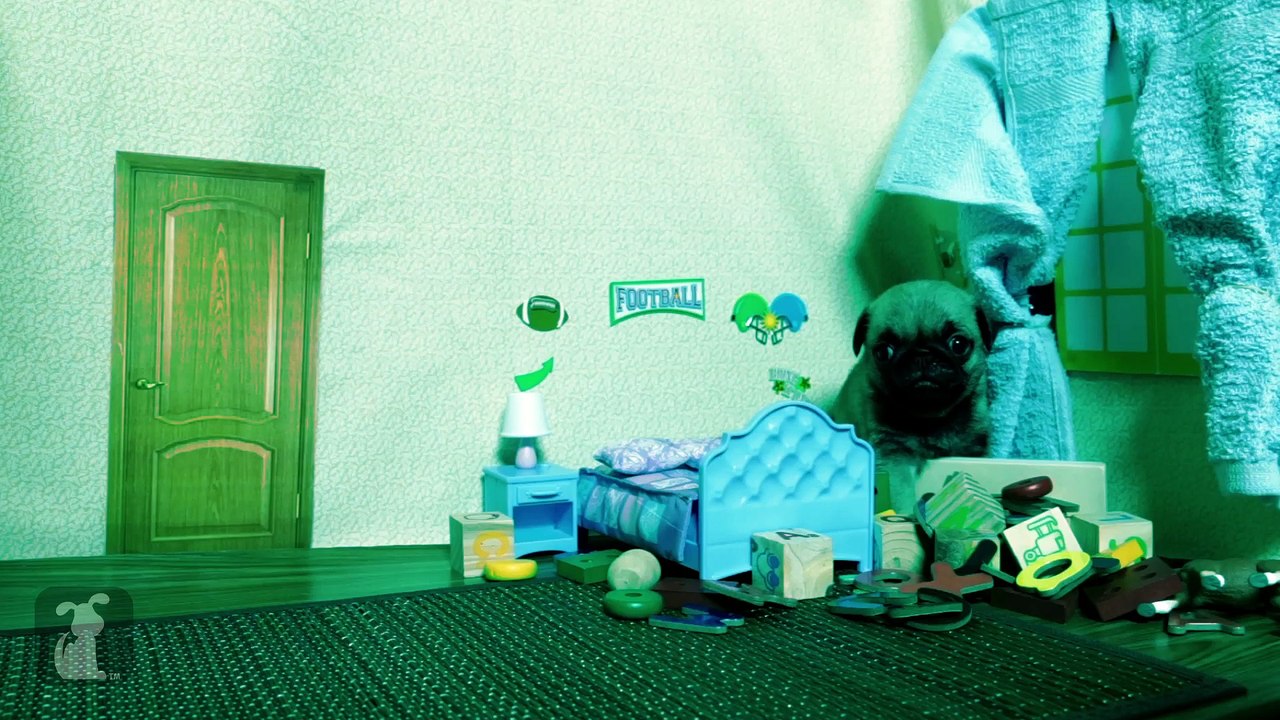 Insidious Chapter 3 (Cute Pug Puppy Edition)