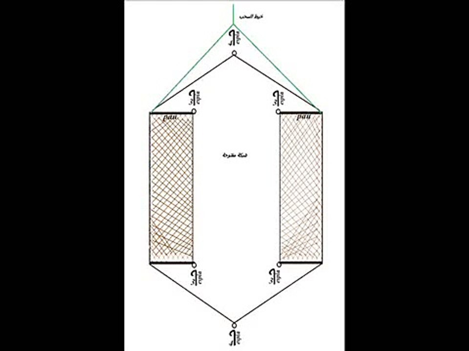 طريقة وضع الشبكة الارضية لصيد طائر الحسون.wmv