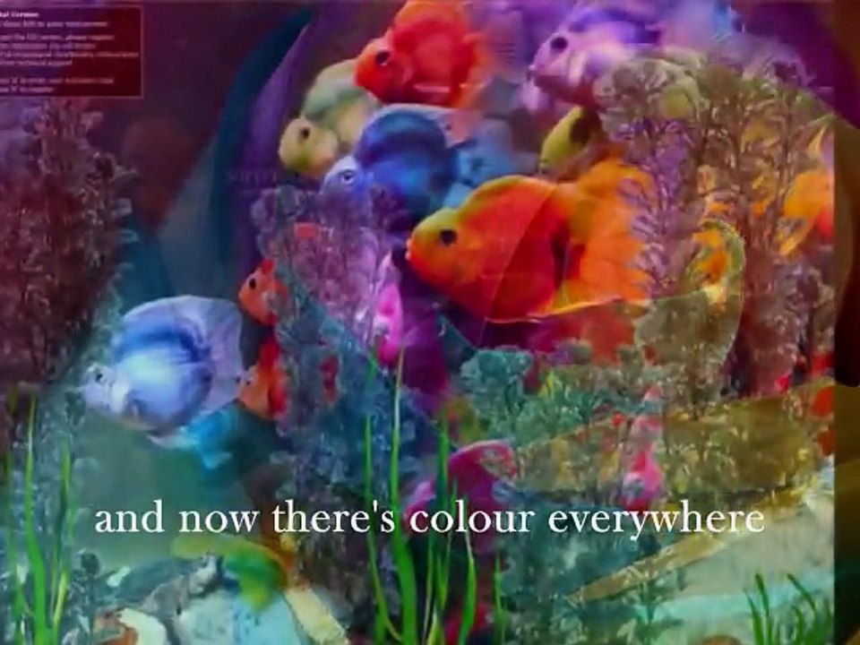 Colour Everywhere - Christian Bautista