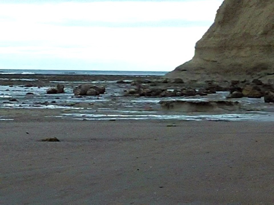 100_0151