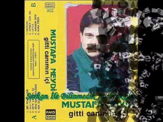 Mustafa Neydi - Gitti Canımın İçi