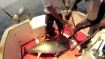 pêche aux gros thons jaunes Sénégal Ngor