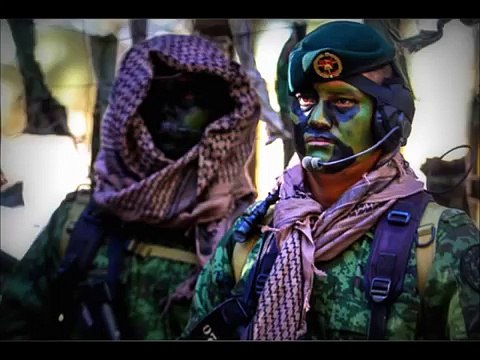 GAFES DE MEXICO(FUERZAS ESPECIALES)