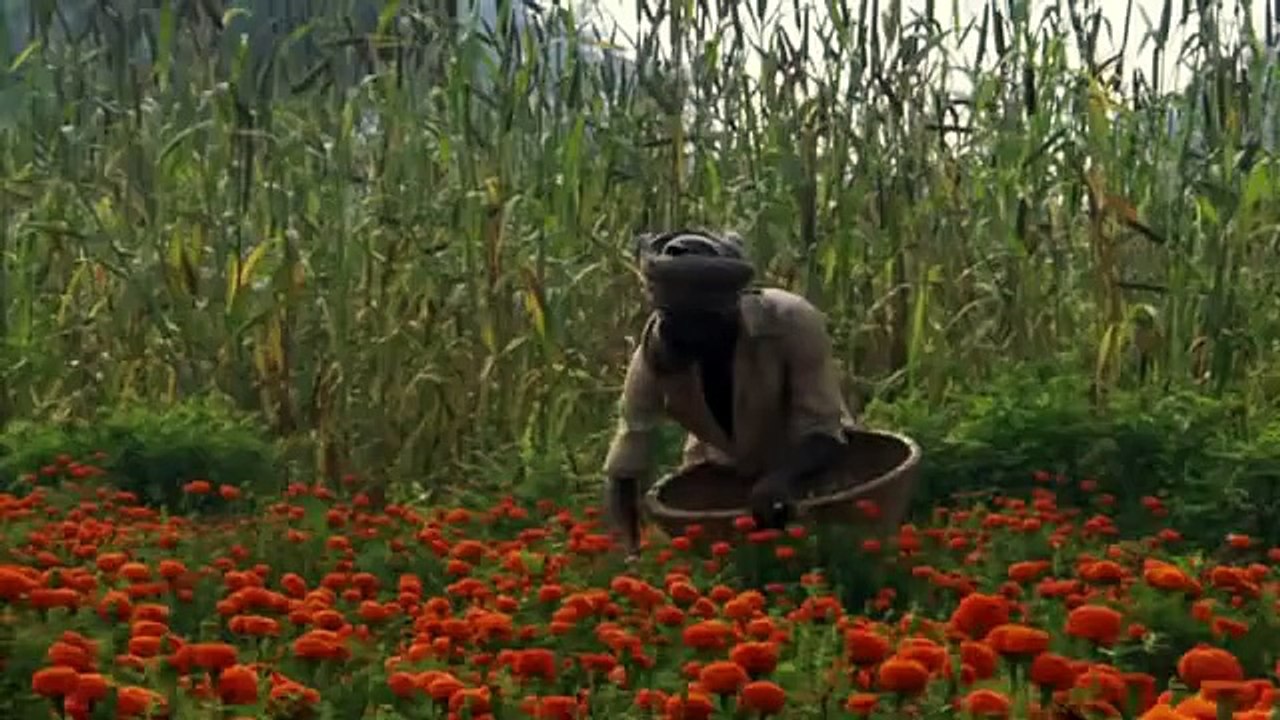 Ganges - Indiens Fluss des Lebens 2v3