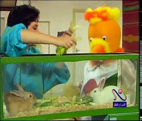 كوكي كاك - مساعدة