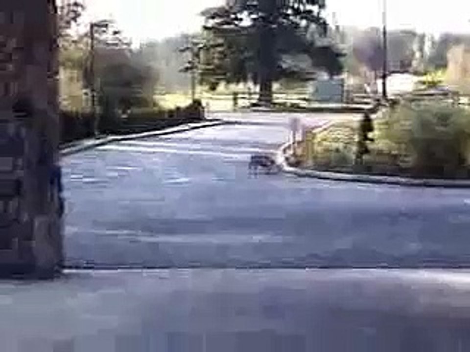 da non credere - Spettacolare
