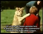 L'incredibile storia del leone Christian sottotitoli in italiano