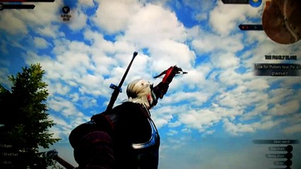 weird glitch out of nowhere WITCHER 3